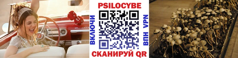 Галлюциногенные грибы прущие грибы  где купить наркоту  Владимир 